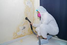 Best HVAC Mold Inspection and Cleaning in USA